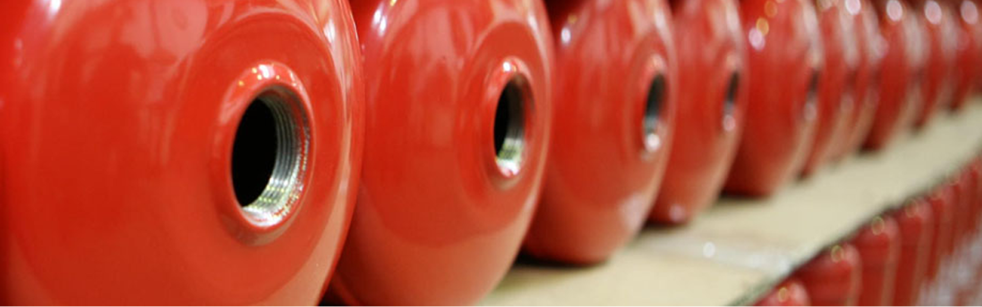 Έλεγχοι-Αναγομώσεις