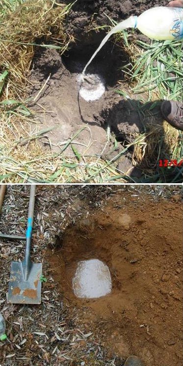 4SoilReportAgroecologyGreece2017